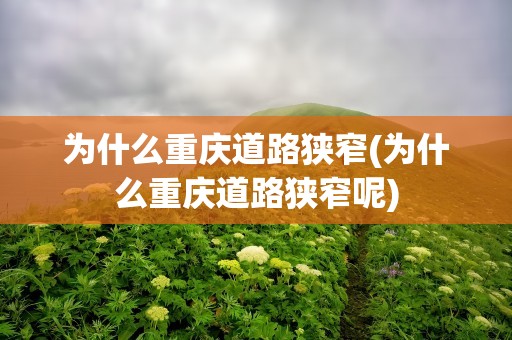 为什么重庆道路狭窄(为什么重庆道路狭窄呢)