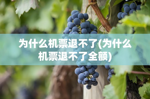 为什么机票退不了(为什么机票退不了全额)
