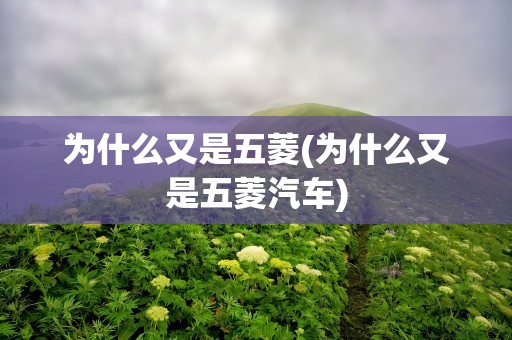 为什么又是五菱(为什么又是五菱汽车)