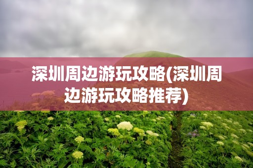 深圳周边游玩攻略(深圳周边游玩攻略推荐)