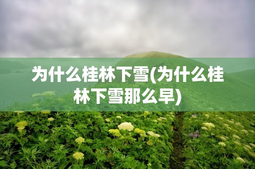 为什么桂林下雪(为什么桂林下雪那么早)