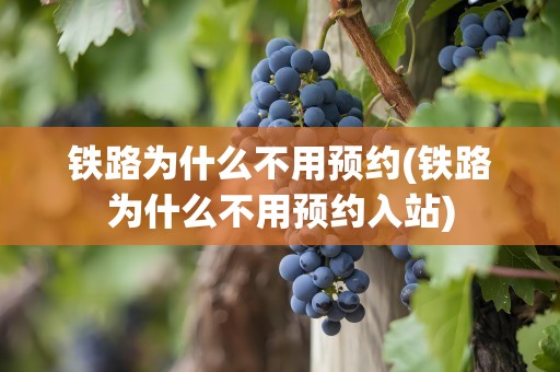 铁路为什么不用预约(铁路为什么不用预约入站)