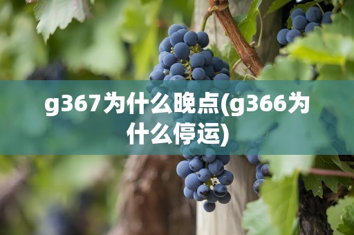 g367为什么晚点(g366为什么停运)