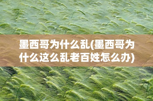 墨西哥为什么乱(墨西哥为什么这么乱老百姓怎么办)
