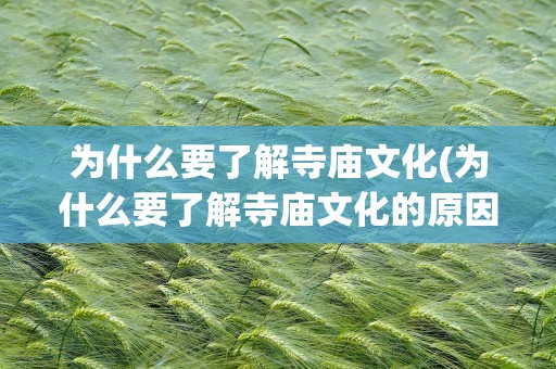 为什么要了解寺庙文化(为什么要了解寺庙文化的原因)