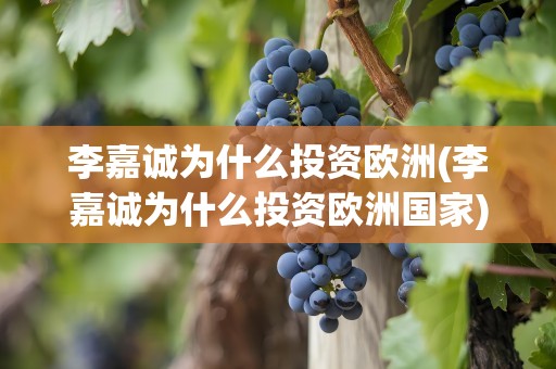 李嘉诚为什么投资欧洲(李嘉诚为什么投资欧洲国家)