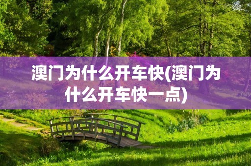澳门为什么开车快(澳门为什么开车快一点)