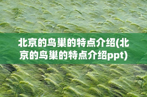 北京的鸟巢的特点介绍(北京的鸟巢的特点介绍ppt)