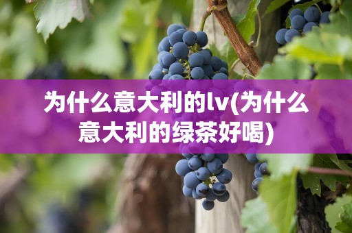 为什么意大利的lv(为什么意大利的绿茶好喝)