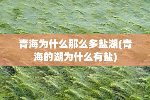 青海为什么那么多盐湖(青海的湖为什么有盐)