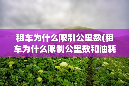 租车为什么限制公里数(租车为什么限制公里数和油耗)