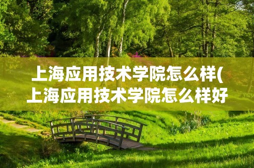 上海应用技术学院怎么样(上海应用技术学院怎么样好不好)