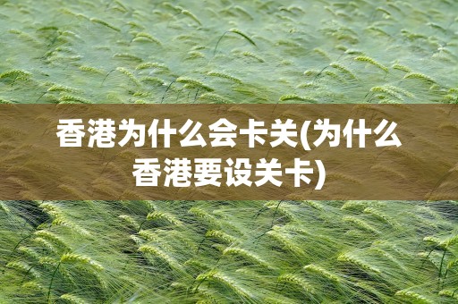 香港为什么会卡关(为什么香港要设关卡)