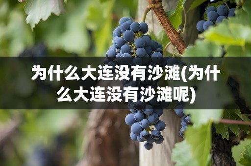 为什么大连没有沙滩(为什么大连没有沙滩呢)