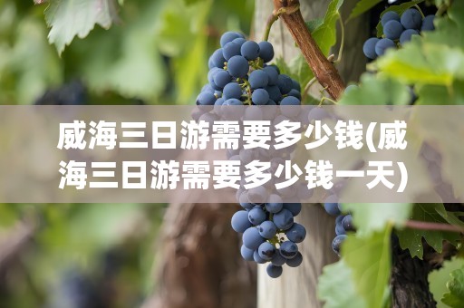 威海三日游需要多少钱(威海三日游需要多少钱一天)