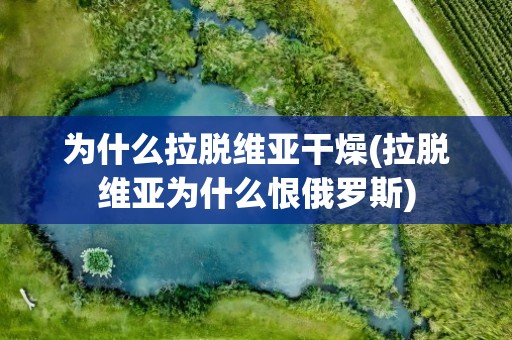 为什么拉脱维亚干燥(拉脱维亚为什么恨俄罗斯)