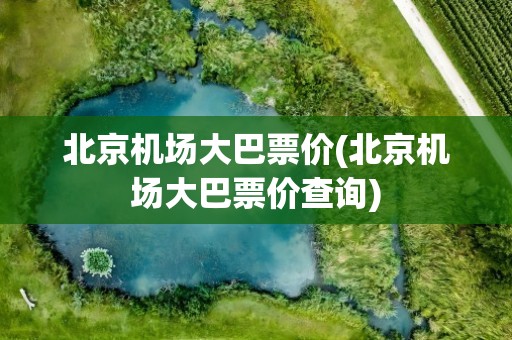 北京机场大巴票价(北京机场大巴票价查询)