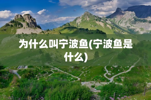 为什么叫宁波鱼(宁波鱼是什么)