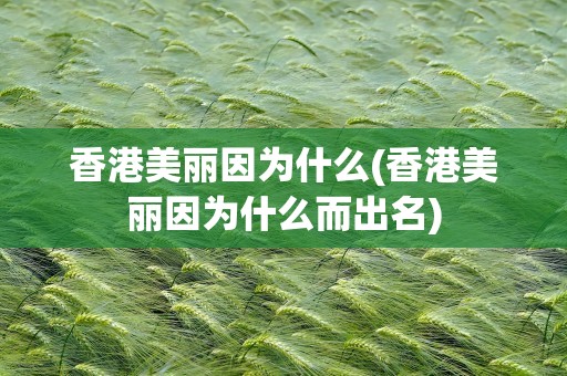 香港美丽因为什么(香港美丽因为什么而出名)