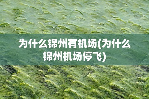为什么锦州有机场(为什么锦州机场停飞)