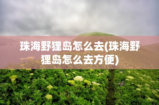 珠海野狸岛怎么去(珠海野狸岛怎么去方便)