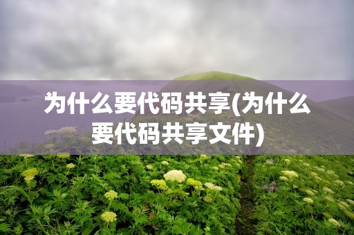为什么要代码共享(为什么要代码共享文件)