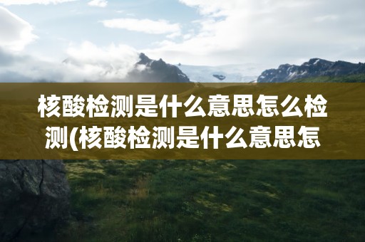 核酸检测是什么意思怎么检测(核酸检测是什么意思怎么检测的)