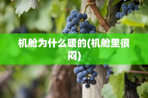 机舱为什么暖的(机舱里很闷)