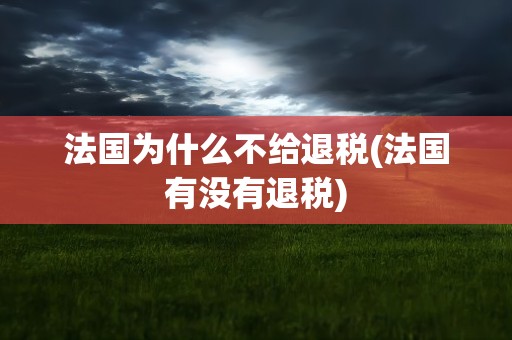 法国为什么不给退税(法国有没有退税)