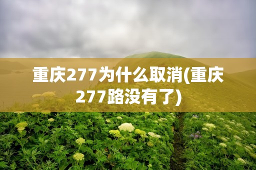 重庆277为什么取消(重庆277路没有了)