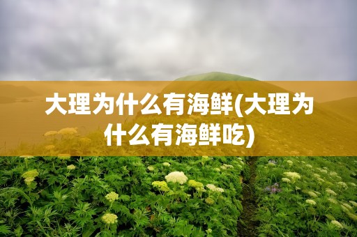 大理为什么有海鲜(大理为什么有海鲜吃)