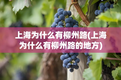 上海为什么有柳州路(上海为什么有柳州路的地方)