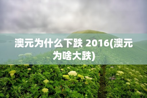 澳元为什么下跌 2016(澳元为啥大跌)