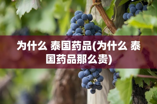 为什么 泰国药品(为什么 泰国药品那么贵)