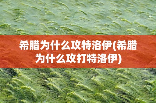 希腊为什么攻特洛伊(希腊为什么攻打特洛伊)