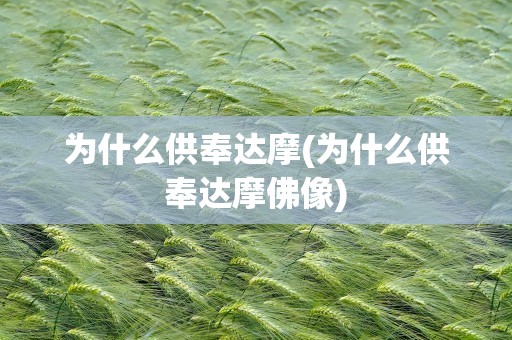 为什么供奉达摩(为什么供奉达摩佛像)
