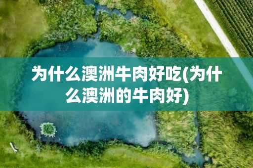 为什么澳洲牛肉好吃(为什么澳洲的牛肉好)