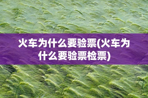 火车为什么要验票(火车为什么要验票检票)