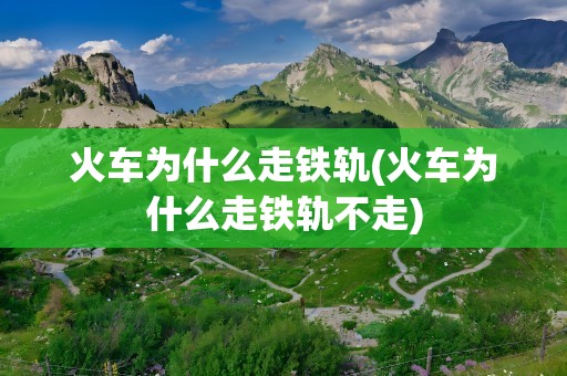 火车为什么走铁轨(火车为什么走铁轨不走)