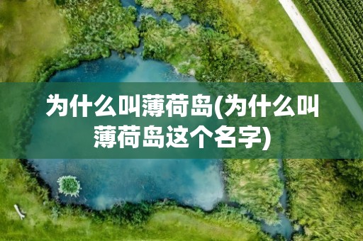 为什么叫薄荷岛(为什么叫薄荷岛这个名字)