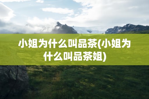 小姐为什么叫品茶(小姐为什么叫品茶姐)