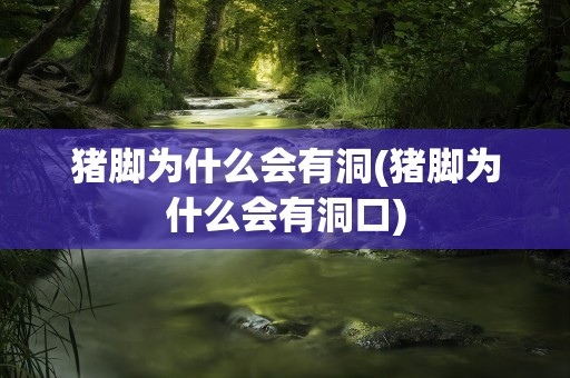 猪脚为什么会有洞(猪脚为什么会有洞口)