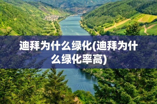 迪拜为什么绿化(迪拜为什么绿化率高)