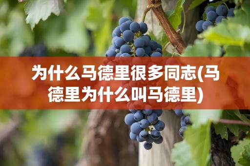 为什么马德里很多同志(马德里为什么叫马德里)