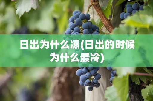 日出为什么凉(日出的时候为什么最冷)