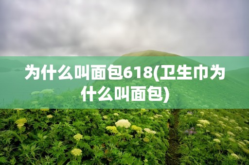 为什么叫面包618(卫生巾为什么叫面包)