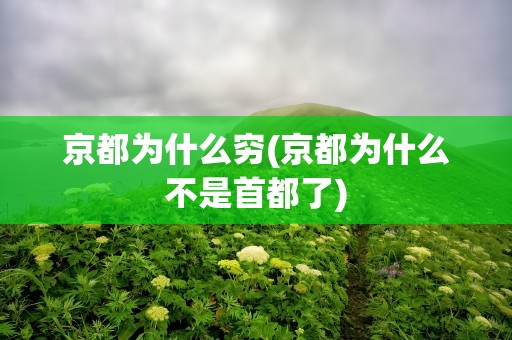 京都为什么穷(京都为什么不是首都了)