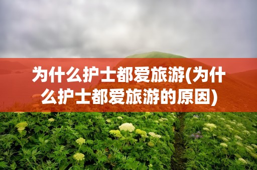 为什么护士都爱旅游(为什么护士都爱旅游的原因)