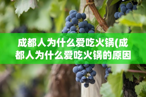成都人为什么爱吃火锅(成都人为什么爱吃火锅的原因)