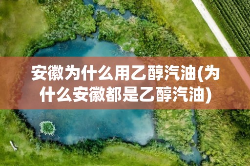 安徽为什么用乙醇汽油(为什么安徽都是乙醇汽油)